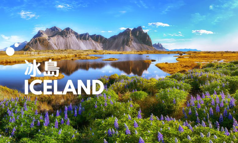 冰島 打工換宿 如何求職、北歐申請經驗分享 & 工作內容